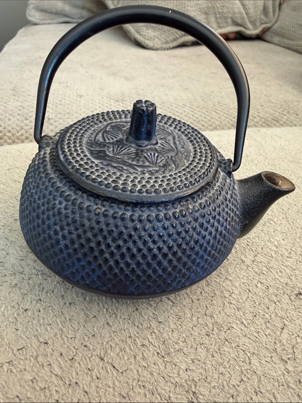 Black Cast Iron Teapot with Handle - Classic Textured Design